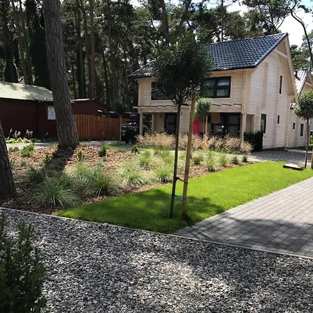 Gryf-balt - Drewniane *