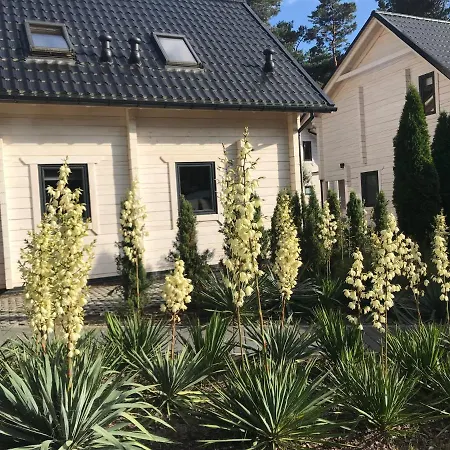 Gryf-balt - Drewniane Мендзыводзе