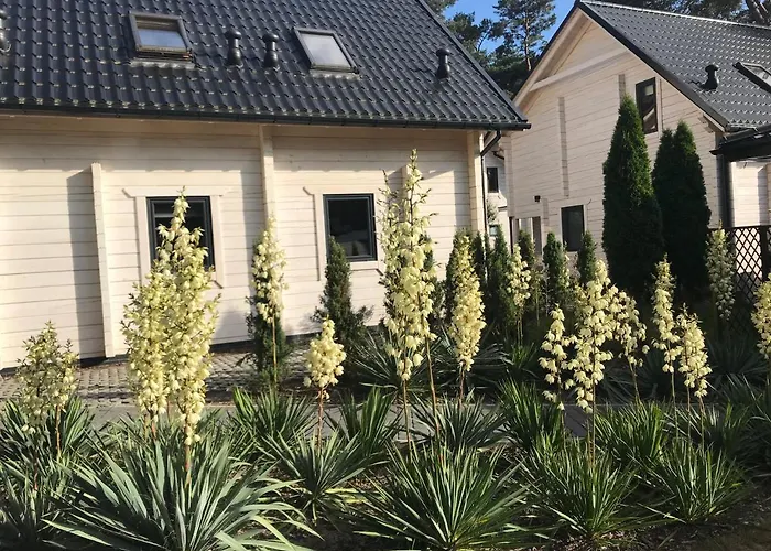 Gryf-balt - Drewniane Międzywodzie